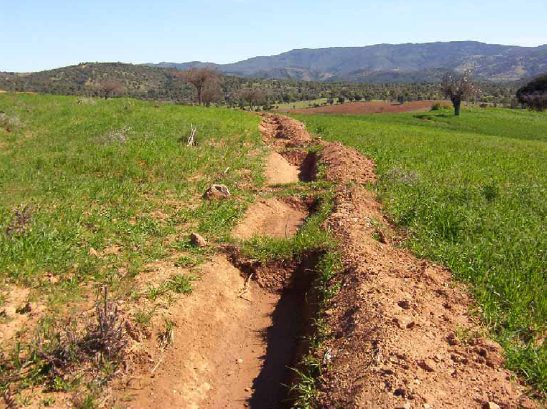 Surco en una pradera de secano: el agua se concentra y abre un canal que crece con cada lluvia.